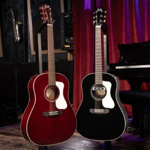 DS-240 Acoustic Guitar